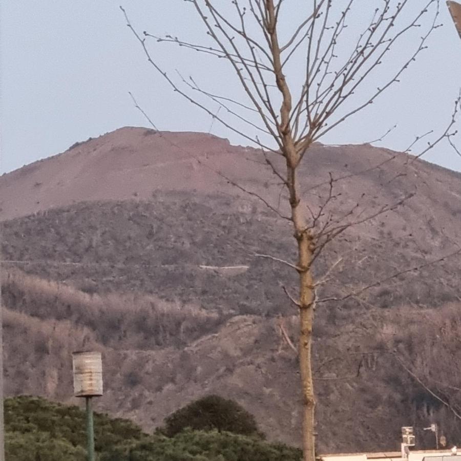 Vesuvius View Apartamento Ercolano Exterior foto